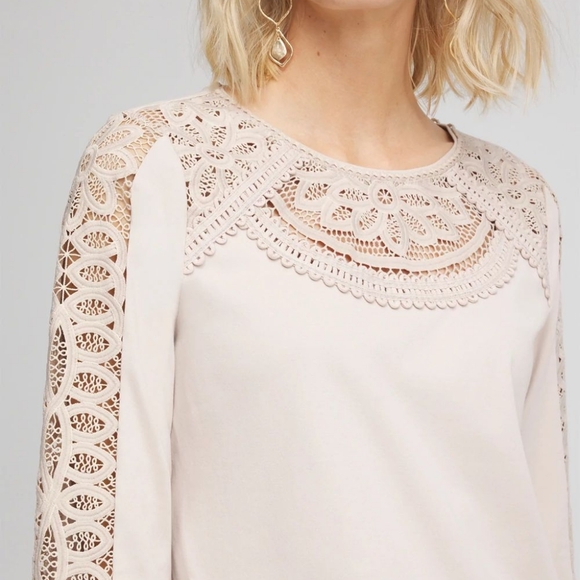 CHICO'S | Lace Cut-Out Tee SMOKEY TAUPE - Picture 2 of 13